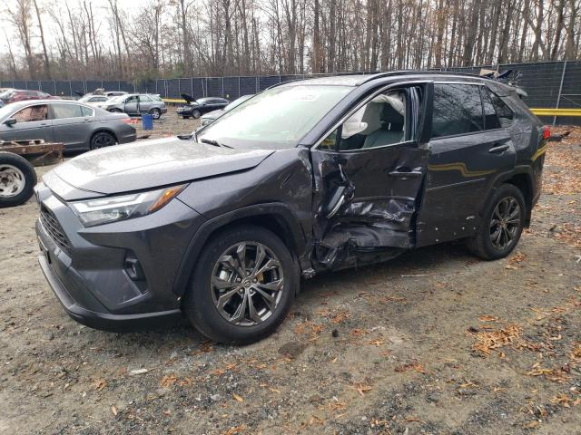TOYOTA RAV4 2023 JTMB6RFV3PD098541 | Auction Seeker