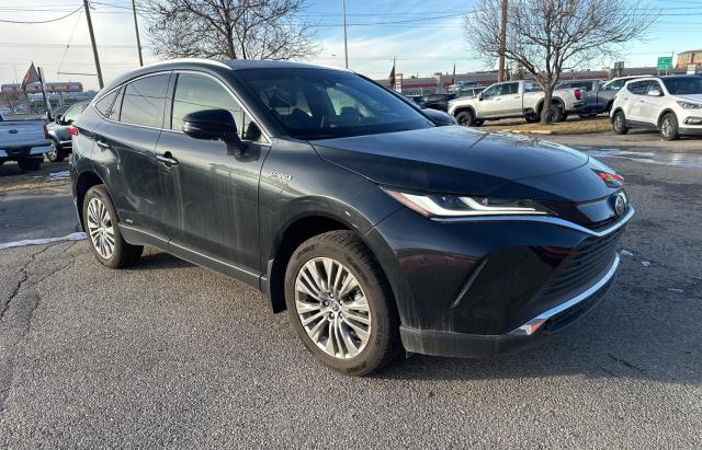 TOYOTA VENZA 2021 JTEAAAAH1MJ026999 | Auction Seeker