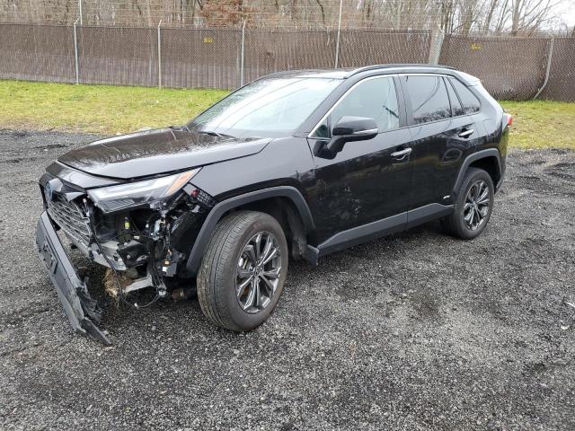TOYOTA RAV4 2023 4T3D6RFV4PU106769 | Auction Seeker