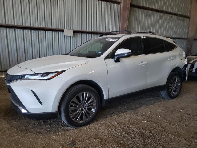 TOYOTA VENZA 2022 JTEAAAAH8NJ115602 | Auction Seeker