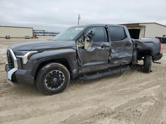 TOYOTA TUNDRA 2023 5TFLA5DB4PX103345 | Auction Seeker