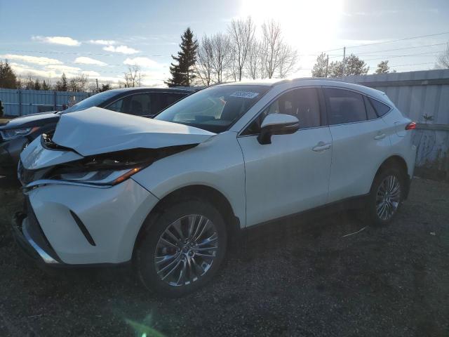 TOYOTA VENZA 2022 JTEAAAAH3NJ105009 | Auction Seeker