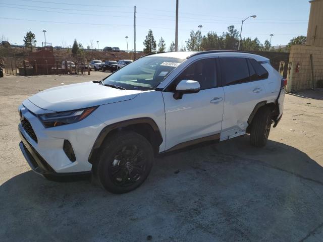TOYOTA RAV4 2023 4T3T6RFV6PU123908 | Auction Seeker