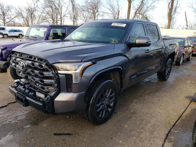 TOYOTA TUNDRA 2023 5TFNA5DB3PX081279 | Auction Seeker