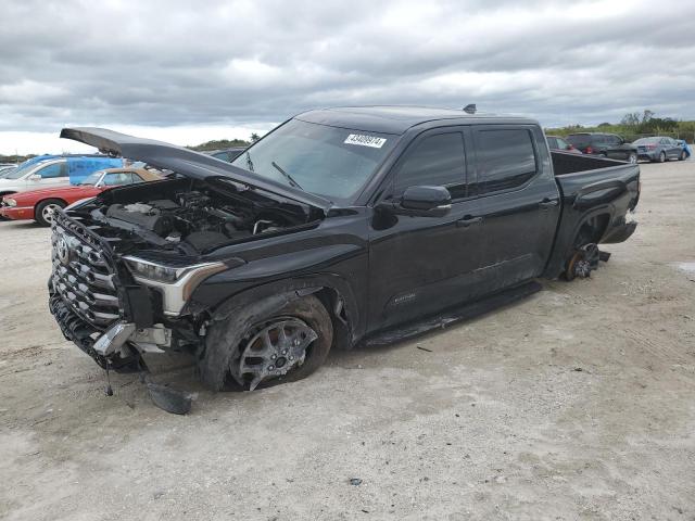 TOYOTA TUNDRA 2023 5TFNA5DB7PX081656 | Auction Seeker