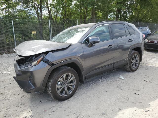 TOYOTA RAV4 2024 4T3B6RFV6RU160682 | Auction Seeker