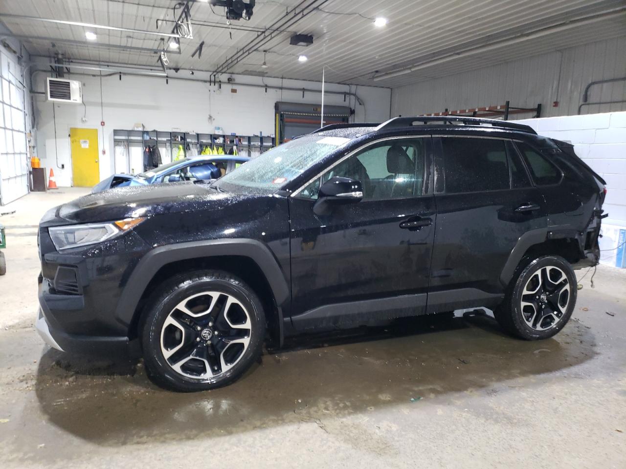 TOYOTA RAV4 2019 2T3J1RFV4KW004916 | Auction Seeker