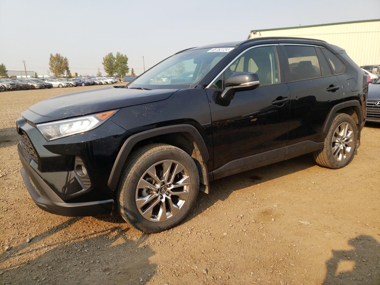 TOYOTA RAV4 2019 2T3R1RFV9KW051393 | Auction Seeker