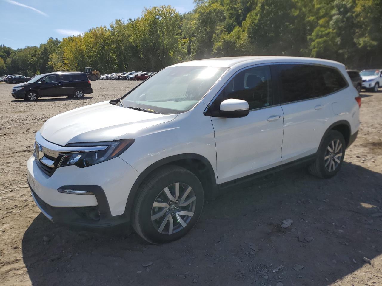 HONDA PILOT 2021 5FNYF6H53MB046756 | Auction Seeker