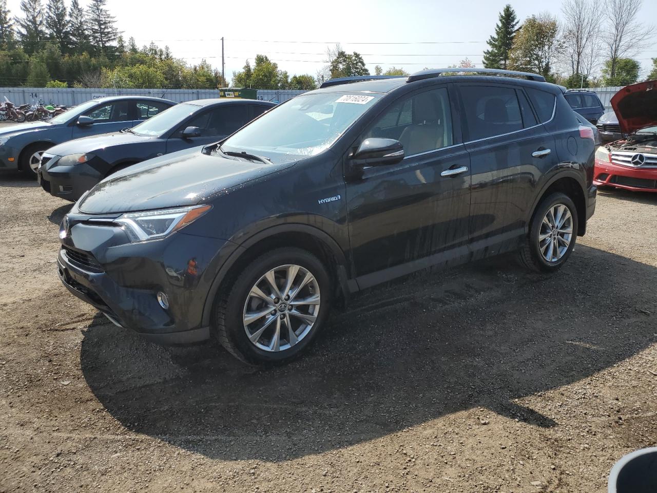 TOYOTA RAV4 2017 JTMDJREV0HD061845 | Auction Seeker