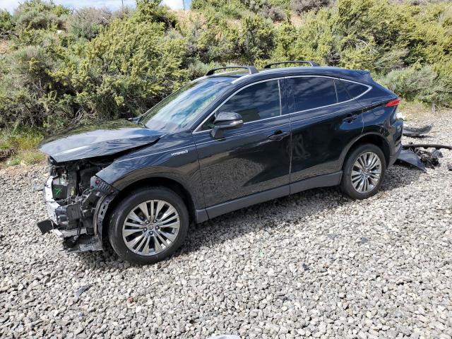 TOYOTA VENZA 2021 JTEAAAAH8MJ021119 | Auction Seeker
