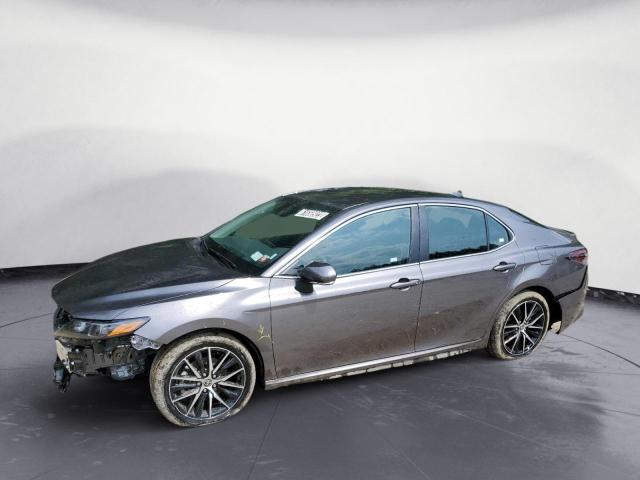 TOYOTA CAMRY 2023 4T1T11AK2PU826654 | Auction Seeker